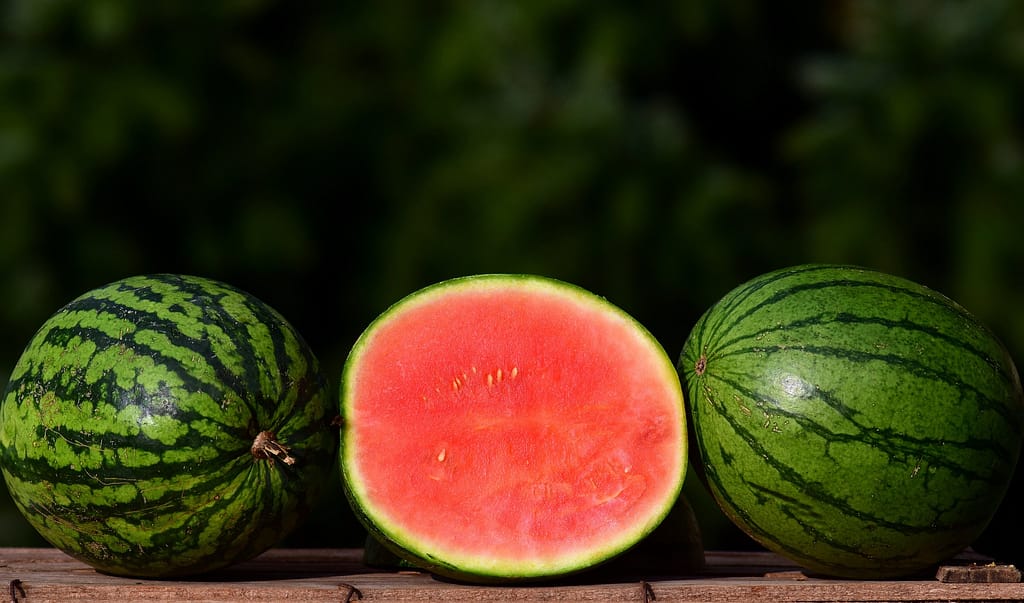 melon 2691415 1920 1