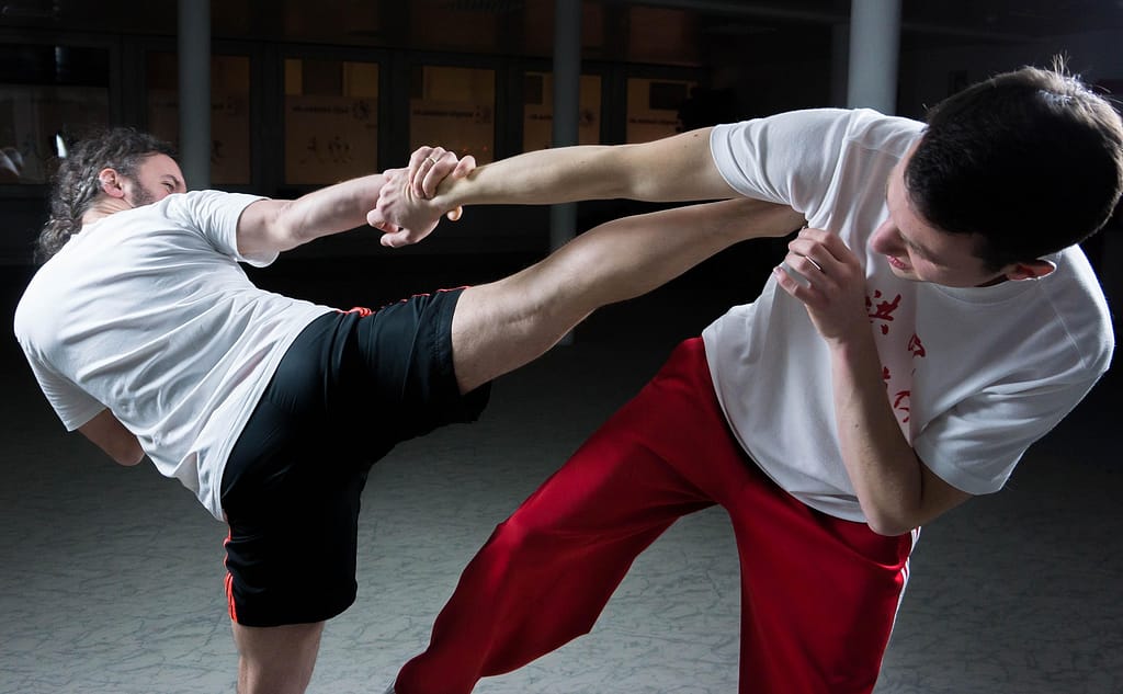 kung fu 2198043 1920