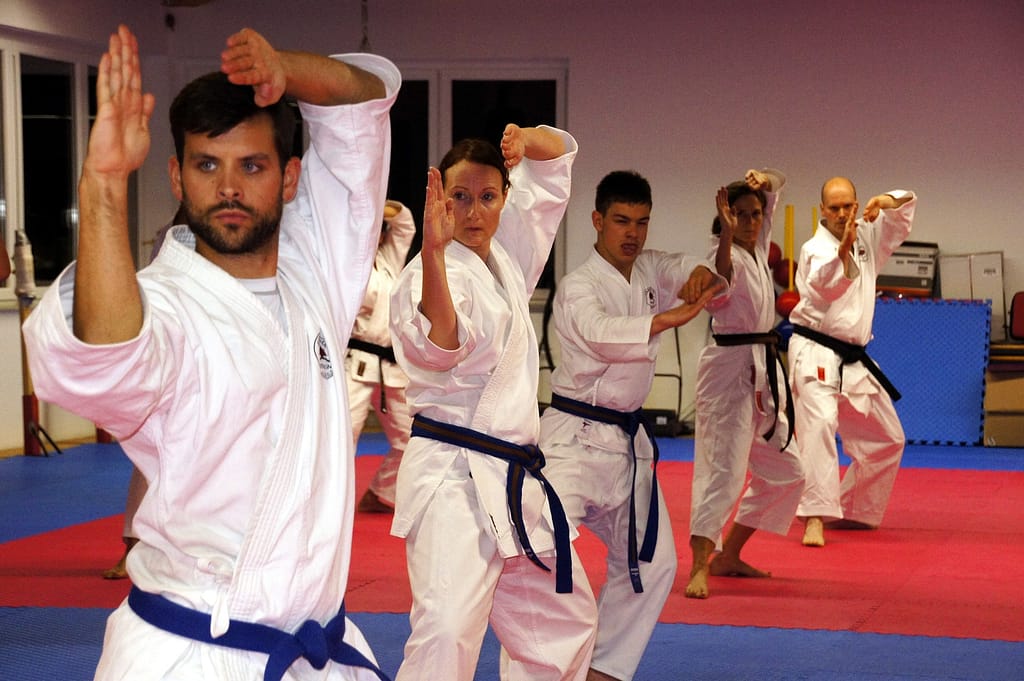 karate 436924 1920