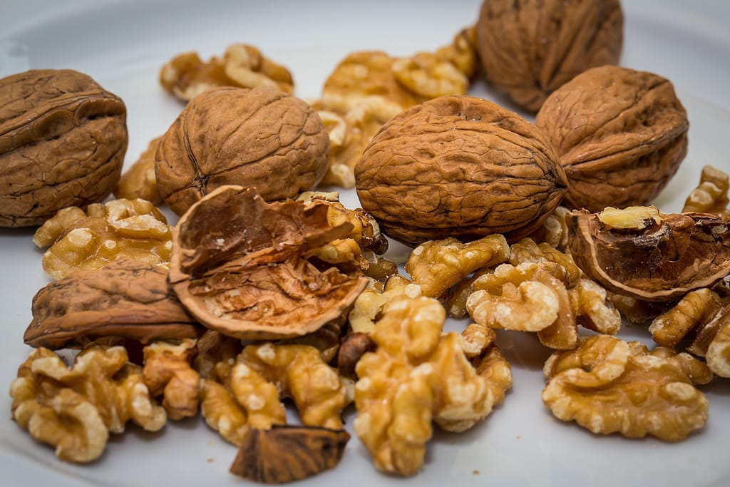 walnut 2816935 1920