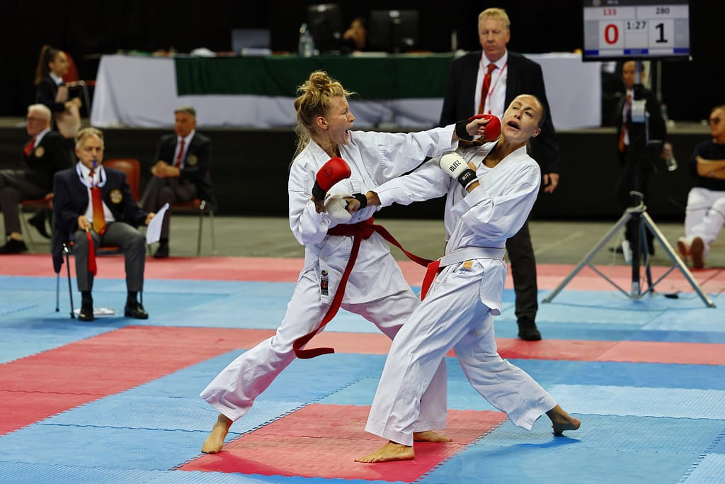 karate 7477212