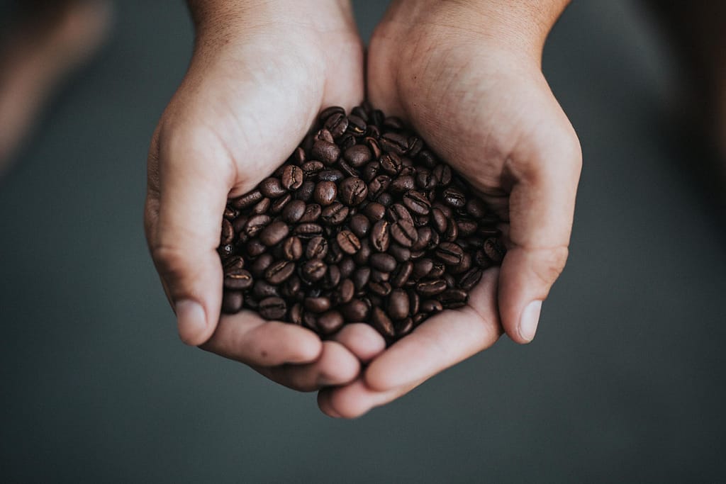 nathan dumlao edyXD3o5rYw unsplash