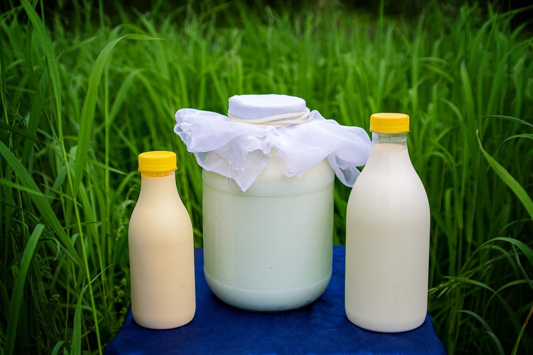 “Milk: The Super Drink for Martial Artists, Athletes, and Dieters!”